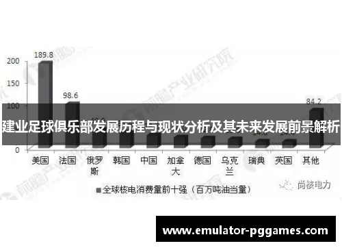 建业足球俱乐部发展历程与现状分析及其未来发展前景解析