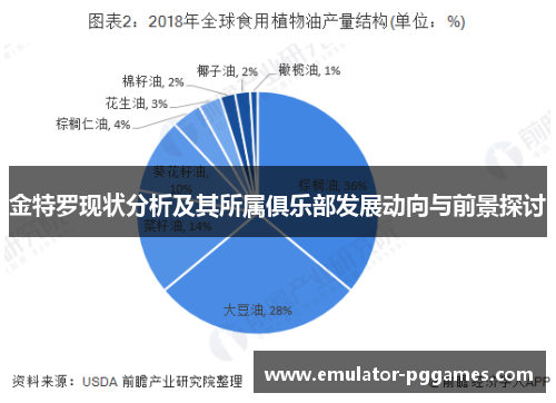 金特罗现状分析及其所属俱乐部发展动向与前景探讨 金特罗现状分析及其所属俱乐部发展动向与前景探讨