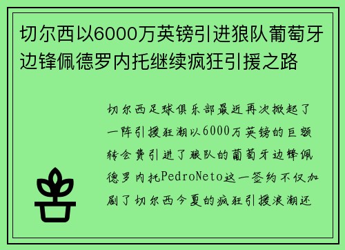 切尔西以6000万英镑引进狼队葡萄牙边锋佩德罗内托继续疯狂引援之路